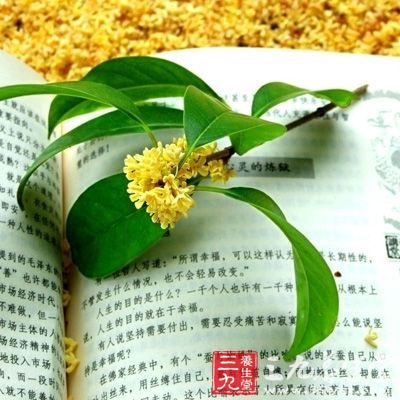 桂花糖是一种桂花里有糖的清甜，糖里有桂花香的食物