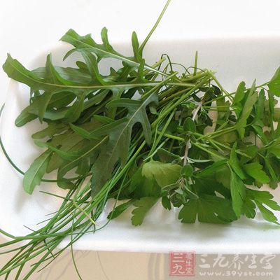 芝麻菜具有清热止血、清肝明目之功效