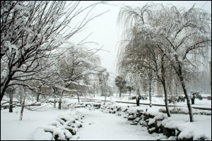 实用雪景摄影技巧