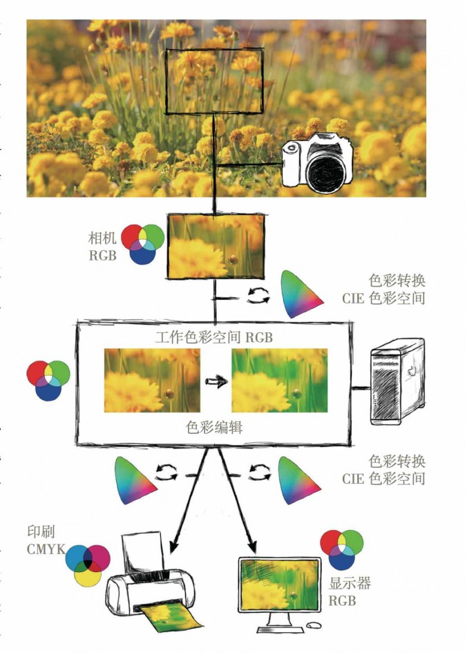 认识数码照片：数码颜色