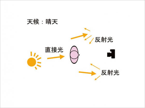 如何在晴天时逆光拍摄可爱女生?图老师教程