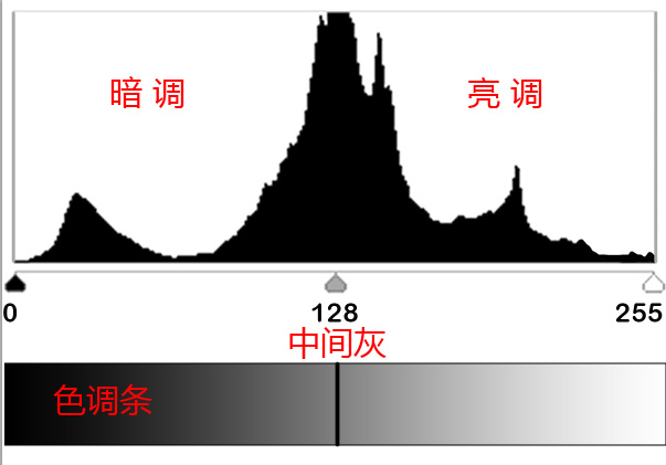 色调的概念图老师教程