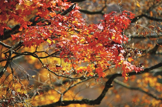 10月行摄快查手册