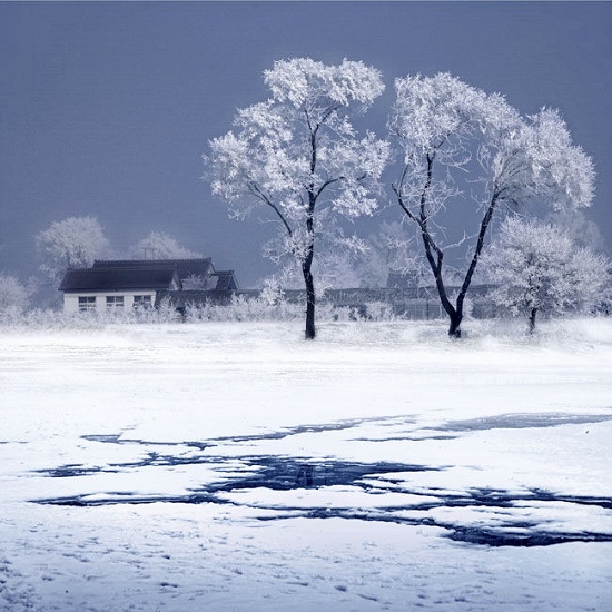 如何在冰天雪地拍出佳作的技巧 图老师教程