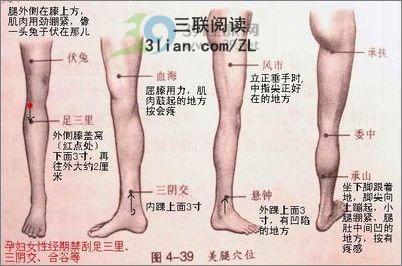 怎么刮痧瘦腿  图老师