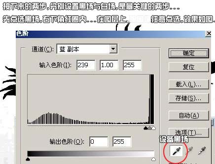 学习给植物照片抠图的PS教程