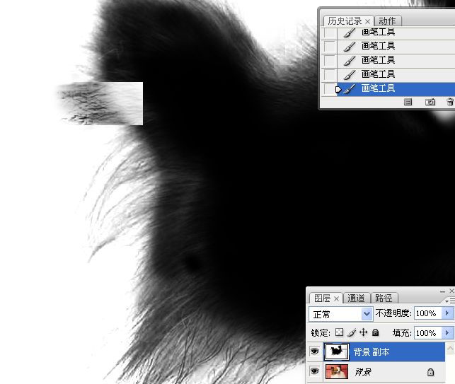 学习对毛发较多宠物狗抠图的PS技巧