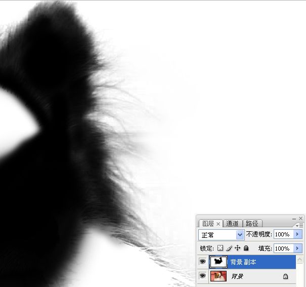 学习对毛发较多宠物狗抠图的PS技巧