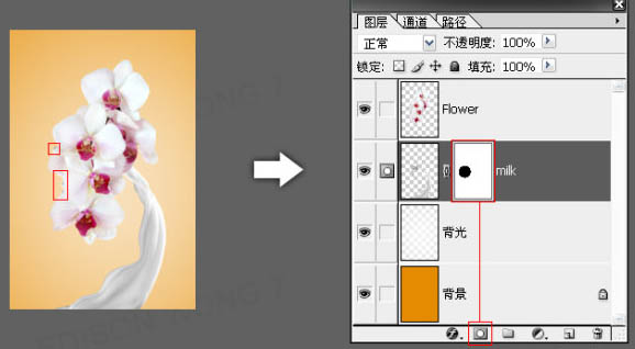 ps照片合成-诱人牛奶花朵