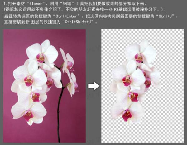 ps照片合成-诱人牛奶花朵