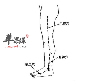 悬钟穴穴位位置图_悬钟穴的功效与作用_按摩手法