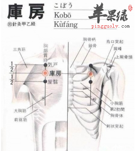 库房穴的位置及图片_库房穴的功效与作用_按摩手法