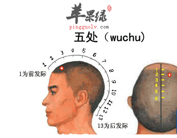 五处穴穴位位置图_五处穴的功效与作用_按摩手法