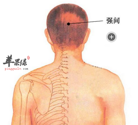 强间穴穴位位置图_强间穴的功效与作用_疗法及注意事项