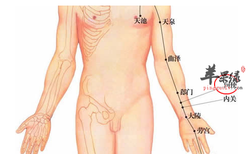 间使穴的位置及图片_间使穴的功效与作用_按摩手法