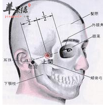 上关穴位位置图_上关穴的功效与作用_按摩手法