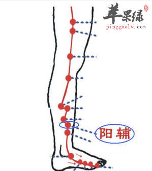 阳辅穴穴位位置图_阳辅穴的功效与作用_按摩手法