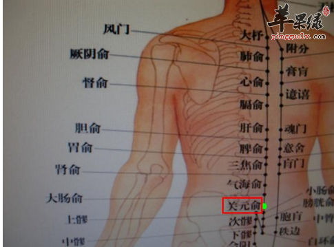 关元俞位位置图_关元俞的功效与作用_按摩手法