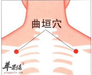 曲垣穴位位置及图片_曲垣穴的功效与作用_按摩手法