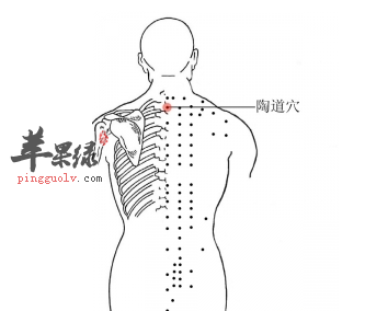 陶道穴位位置及图片_陶道穴的功效与作用_按摩手法