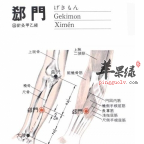 郄门穴穴位位置图_郄门穴的功效与作用_按摩手法