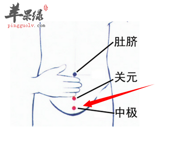 中极穴的位置及图片_中极穴的功效与作用_按摩手法