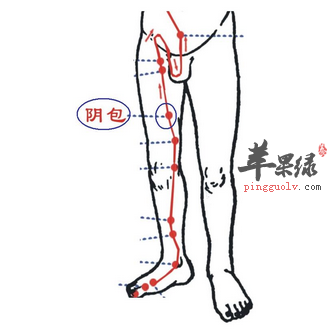 阴包穴穴位位置图_阴包穴的功效与作用_按摩手法