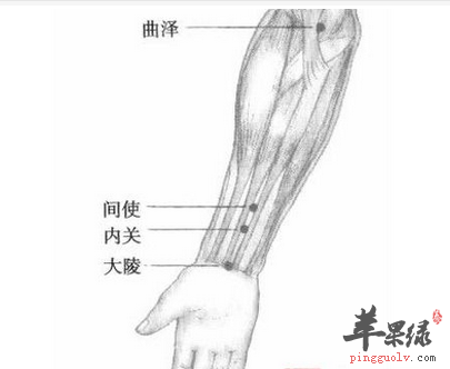 间使穴的位置及图片_间使穴的功效与作用_按摩手法