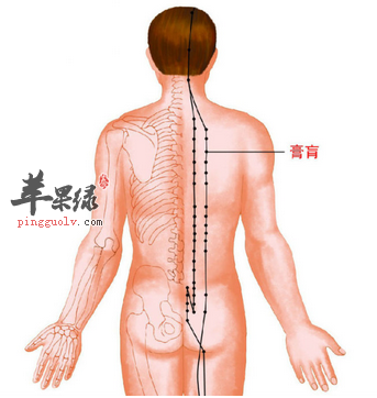 膏肓穴位位置图_膏肓穴的功效与作用_按摩手法