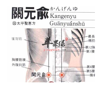 关元俞位位置图_关元俞的功效与作用_按摩手法