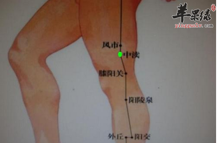 膝阳关穴穴位位置图_膝阳关穴的功效与作用_疗法及注意事项