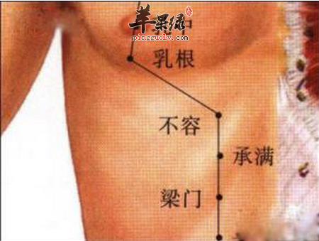 不容穴的位置及图片_不容穴的功效与作用_按摩手法