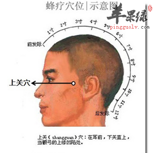 上关穴位位置图_上关穴的功效与作用_按摩手法