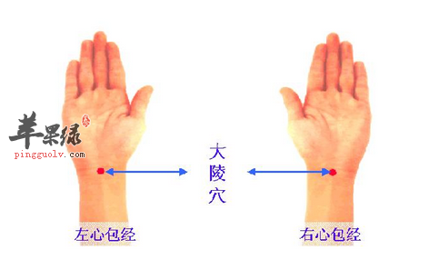 大陵穴的位置及图片_大陵穴的功效与作用_按摩手法