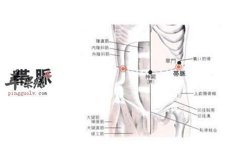 带脉穴的位置及图片_带脉穴的功效与作用_按摩手法