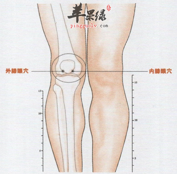 膝眼穴位位置及图片_膝眼穴的功效与作用_按摩手法