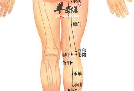 委阳穴穴位位置图_委阳穴的功效与作用_按摩手法