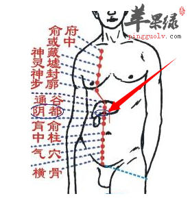 阴都穴穴位位置图_阴都穴的功效与作用_疗法及注意事项