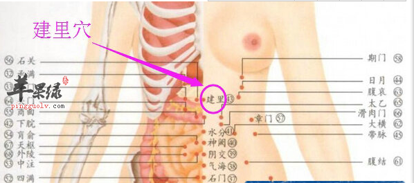 建里穴的位置及图片_建里穴的功效与作用_按摩手法