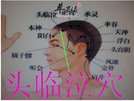 头临泣穴穴位位置图_头临泣穴的功效与作用_按摩手法