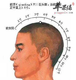 前顶穴穴位位置图_前顶穴的功效与作用_按摩手法