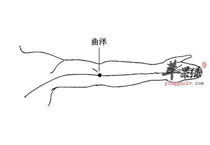 曲泽穴穴位位置图_曲泽穴的功效与作用_按摩手法