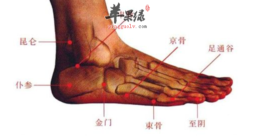 京骨穴的位置及图片_京骨穴的功效与作用_按摩手法