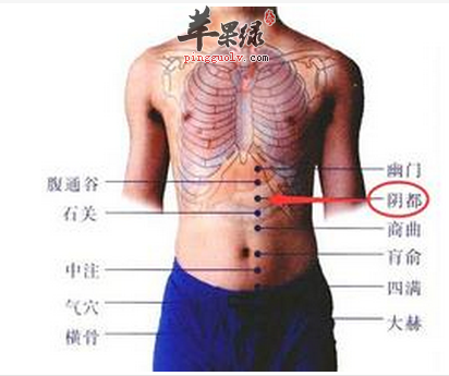 阴都穴穴位位置图_阴都穴的功效与作用_疗法及注意事项