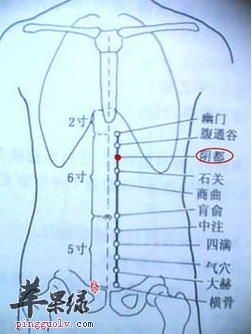 阴都穴穴位位置图_阴都穴的功效与作用_疗法及注意事项