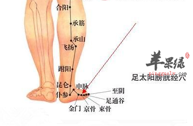 京骨穴的位置及图片_京骨穴的功效与作用_按摩手法