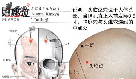 头临泣穴穴位位置图_头临泣穴的功效与作用_按摩手法