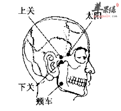 上关穴位位置图_上关穴的功效与作用_按摩手法