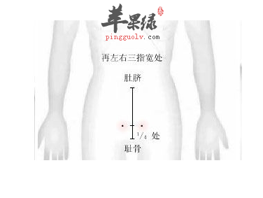 大巨穴位位置图_大巨穴的功效与作用_按摩手法