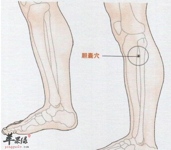 胆囊穴的位置及图片_胆囊穴的功效与作用_按摩手法